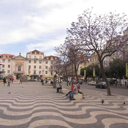 Conchas * Lisboa